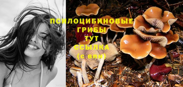 гидропоника Бугульма