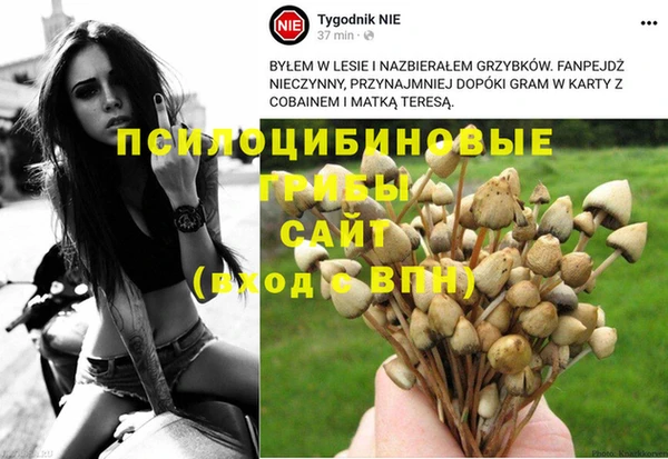 гидропоника Бугульма