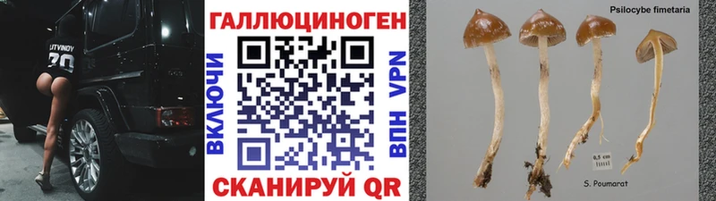 Купить закладки  Голицыно  Галлюциногенные грибы мухоморы 